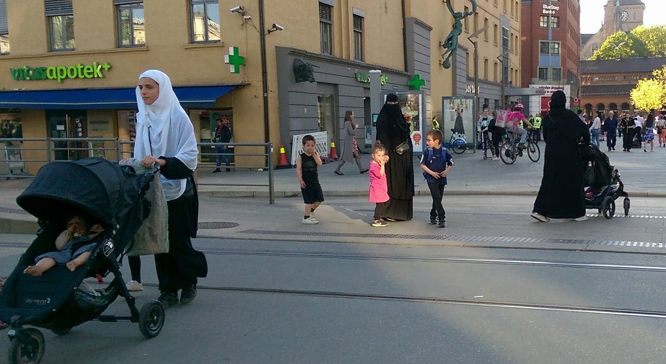 Innvandring destabiliserer våre demokratier. Hvordan havnet vi der, Snoen?&nbsp;<span>(+)</span>
