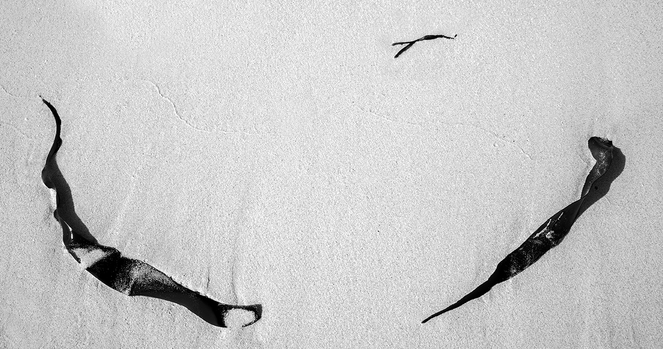 Tareblader&nbsp;<span>(+)</span>