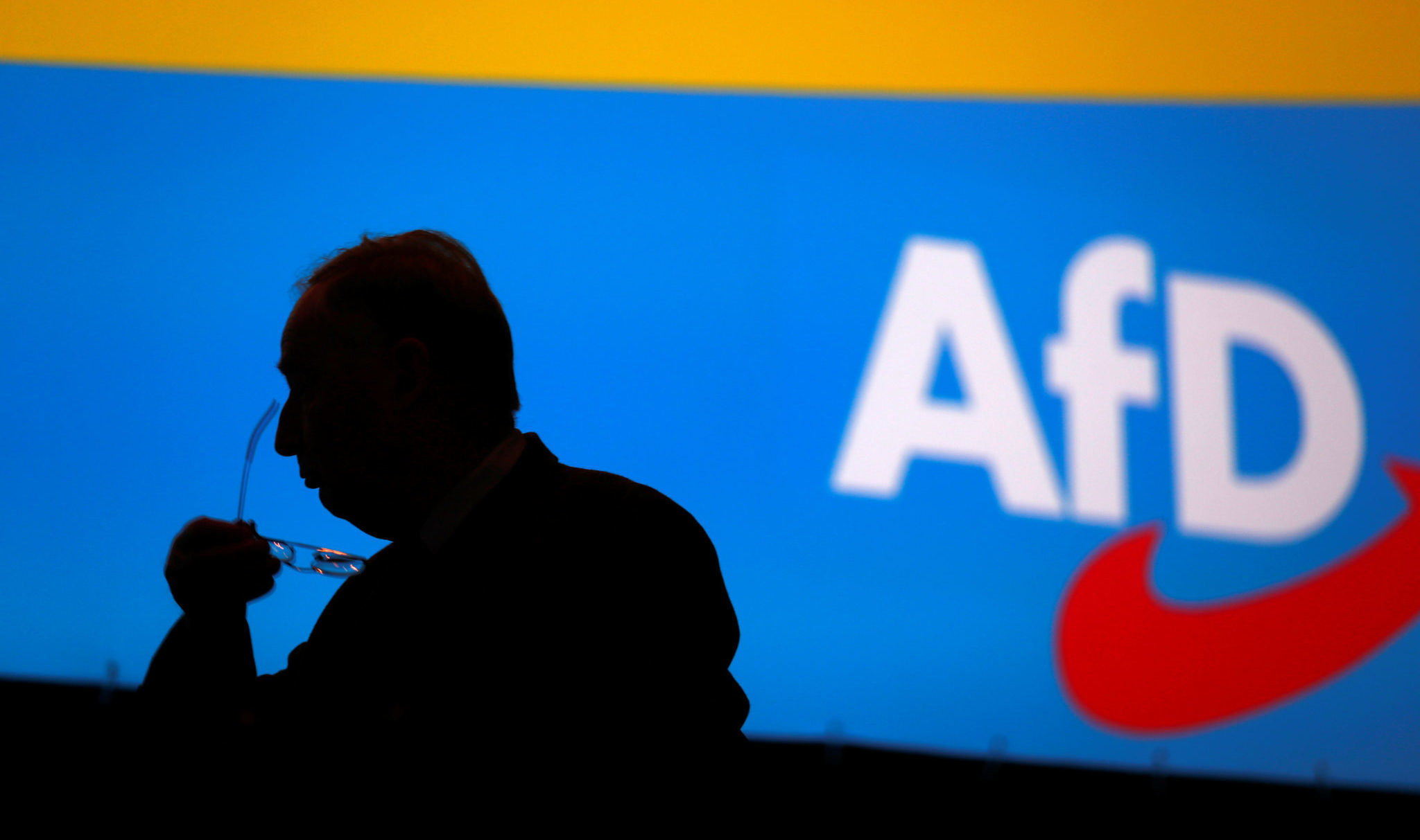 Tysk sikkerhetstjeneste overvåker AfD&nbsp;<span>(+)</span>