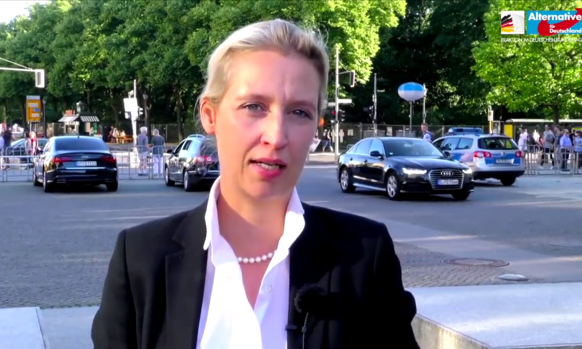 AfD like store som SPD i Tyskland&nbsp;<span>(+)</span>