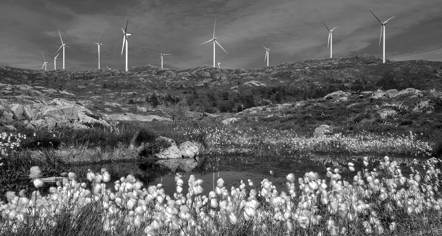 Møller og myrull&nbsp;<span>(+)</span>