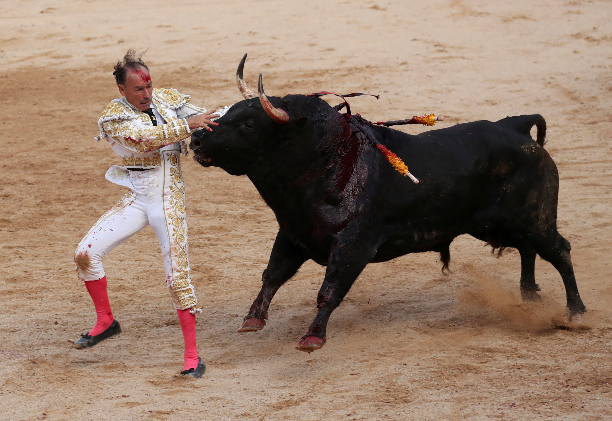 Pamplona&nbsp;<span>(+)</span>