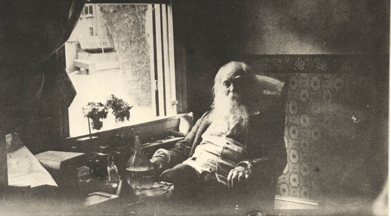 Dikteren Walt Whitman (1887)&nbsp;<span>(+)</span>