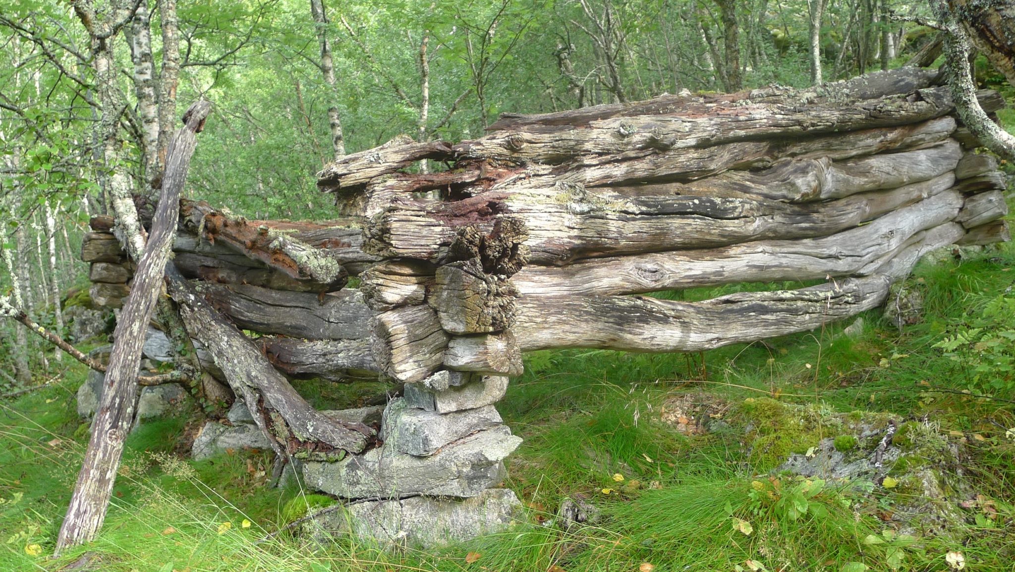 Minner langs et tråkk&nbsp;<span>(+)</span>