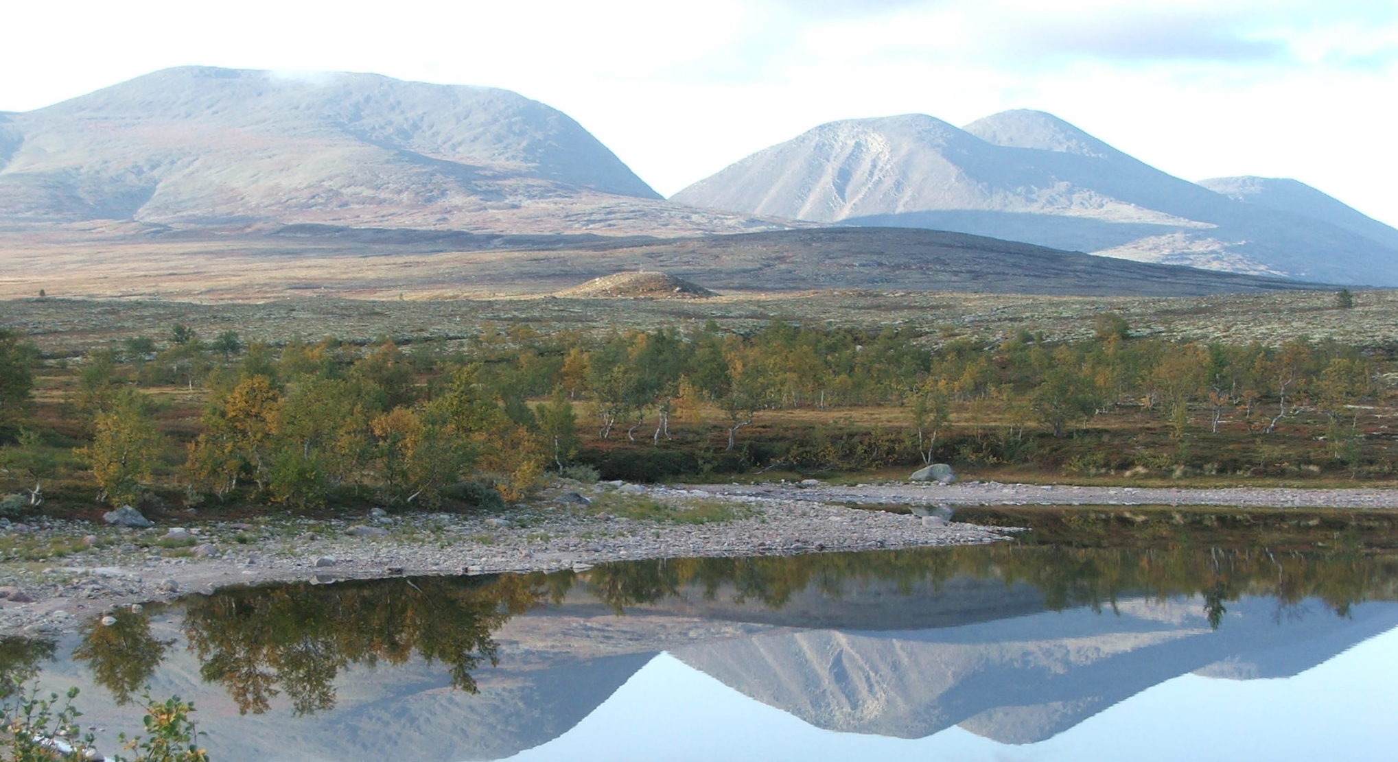 Fritt vilt - om NATO-Jens, sau og ulv og sånn&nbsp;<span>(+)</span>
