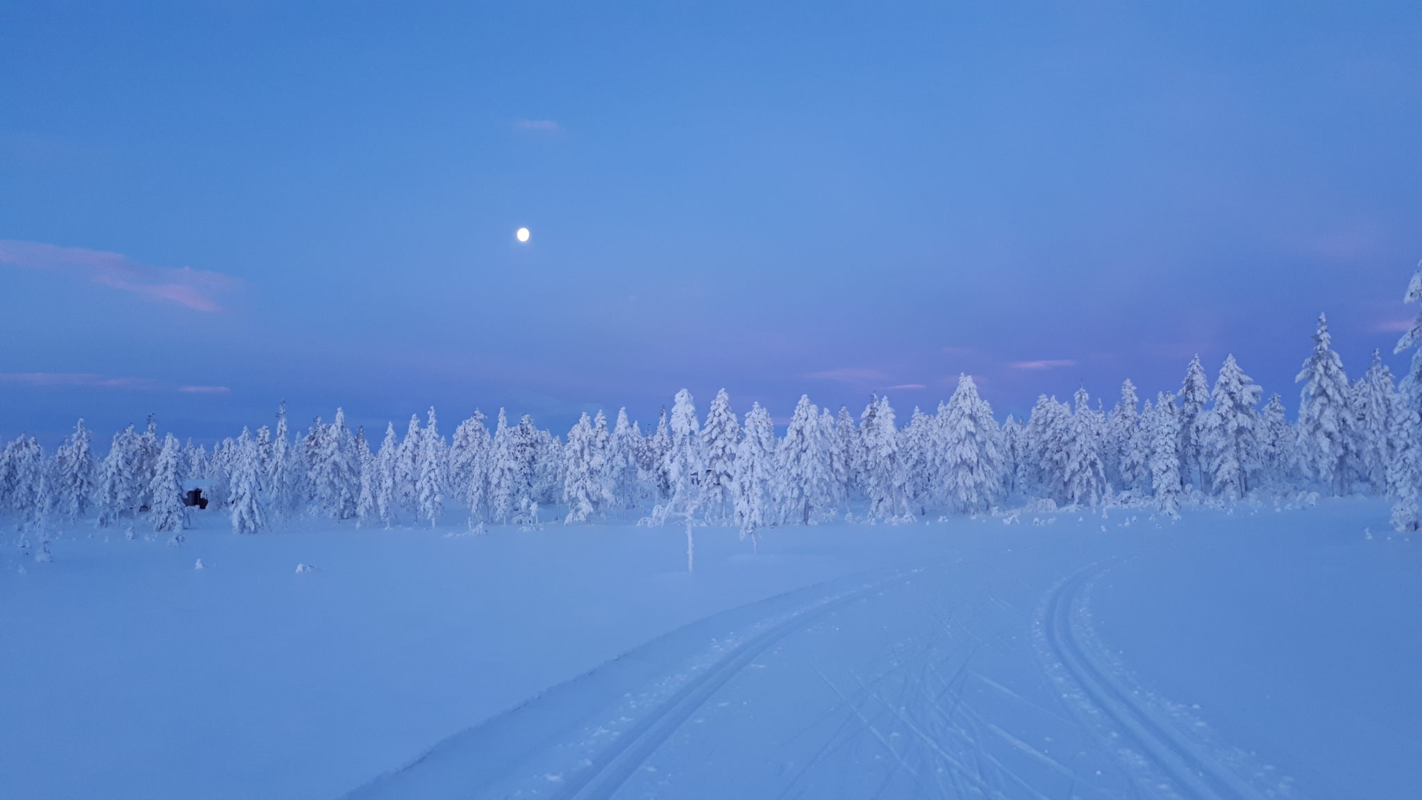 Svartåfloen vest for Rena&nbsp;<span>(+)</span>