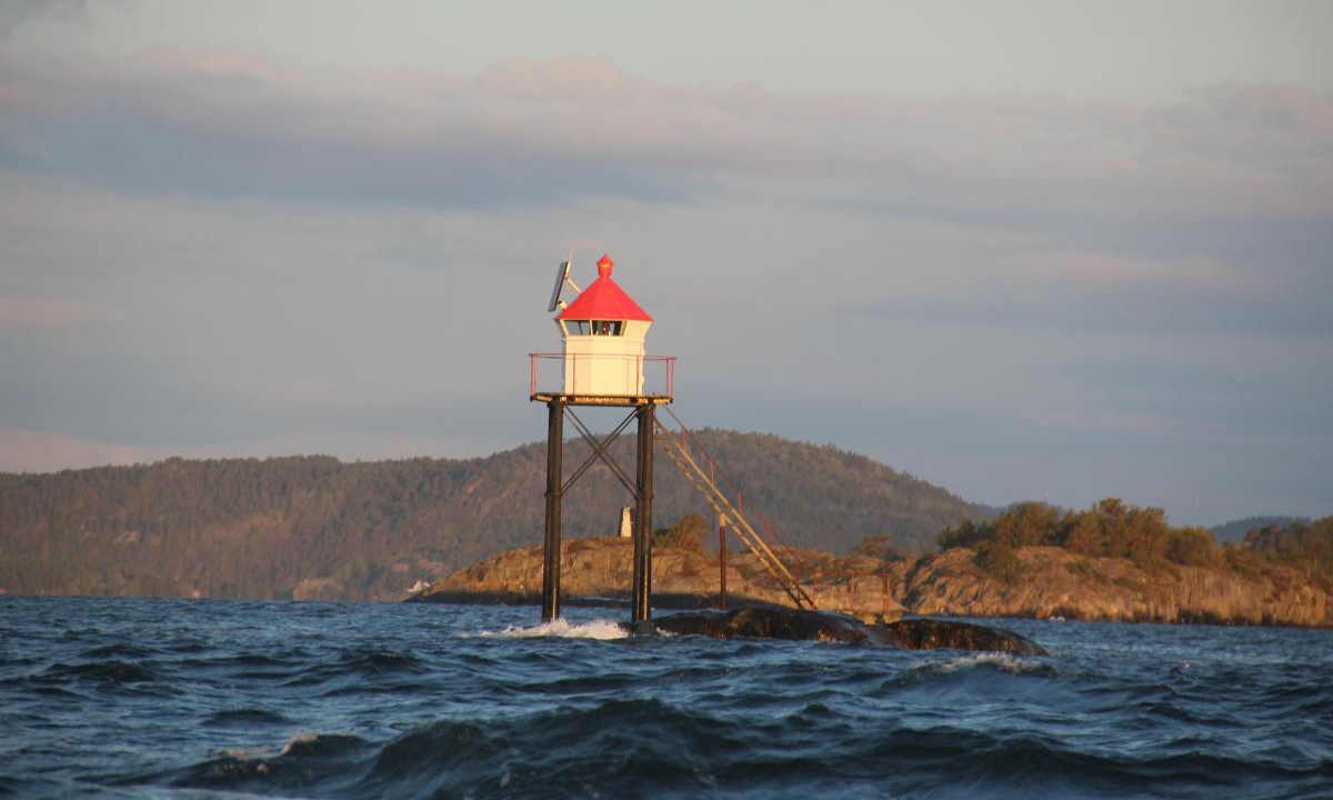 I Trædalens tåke&nbsp;<span>(+)</span>