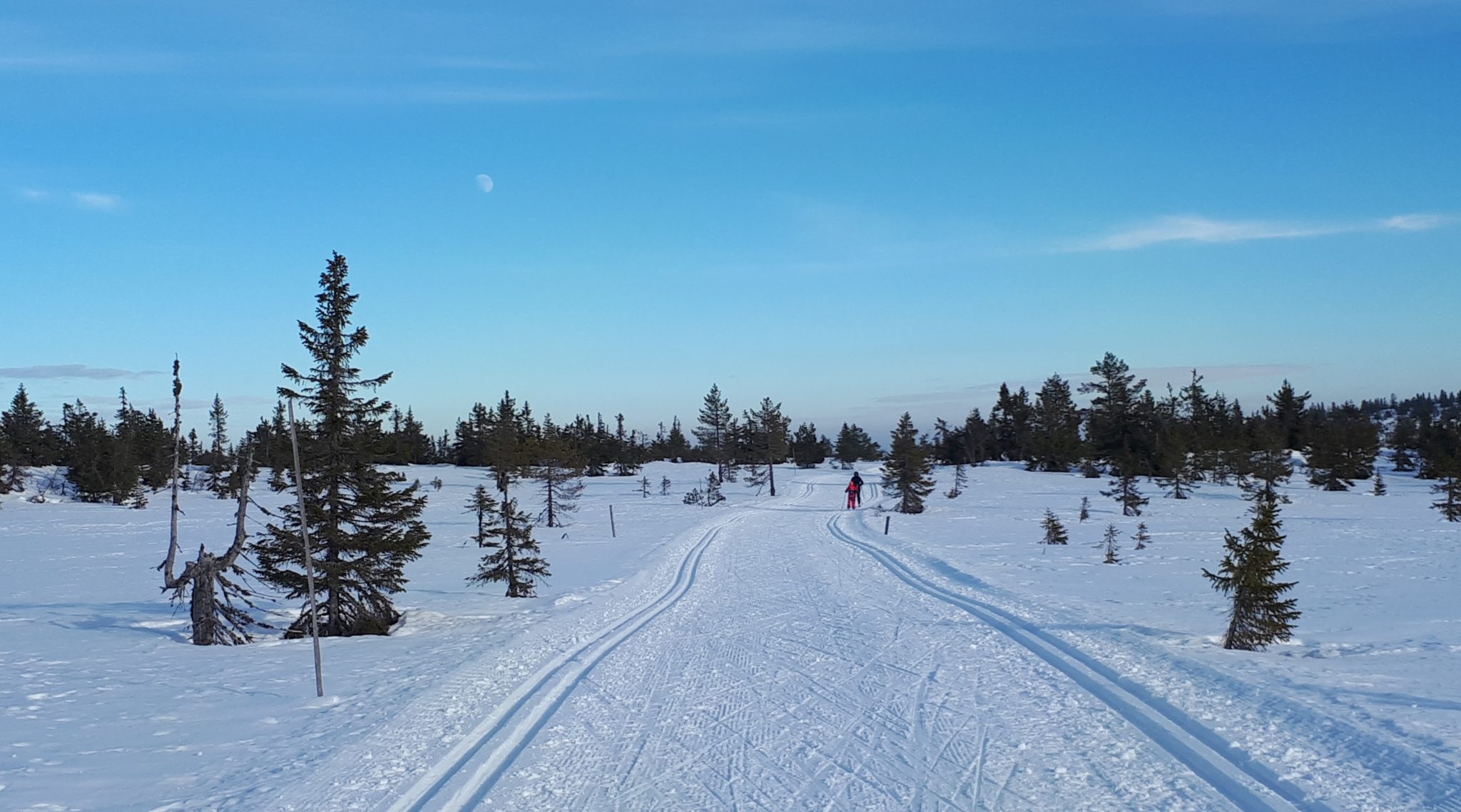 Vakker februar&nbsp;<span>(+)</span>