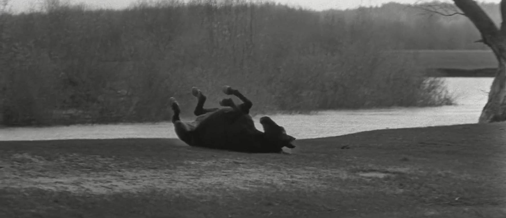 Tiden er ute av ledd, hvordan kan den settes på rett kjøl igjen?&nbsp;<span>(+)</span>