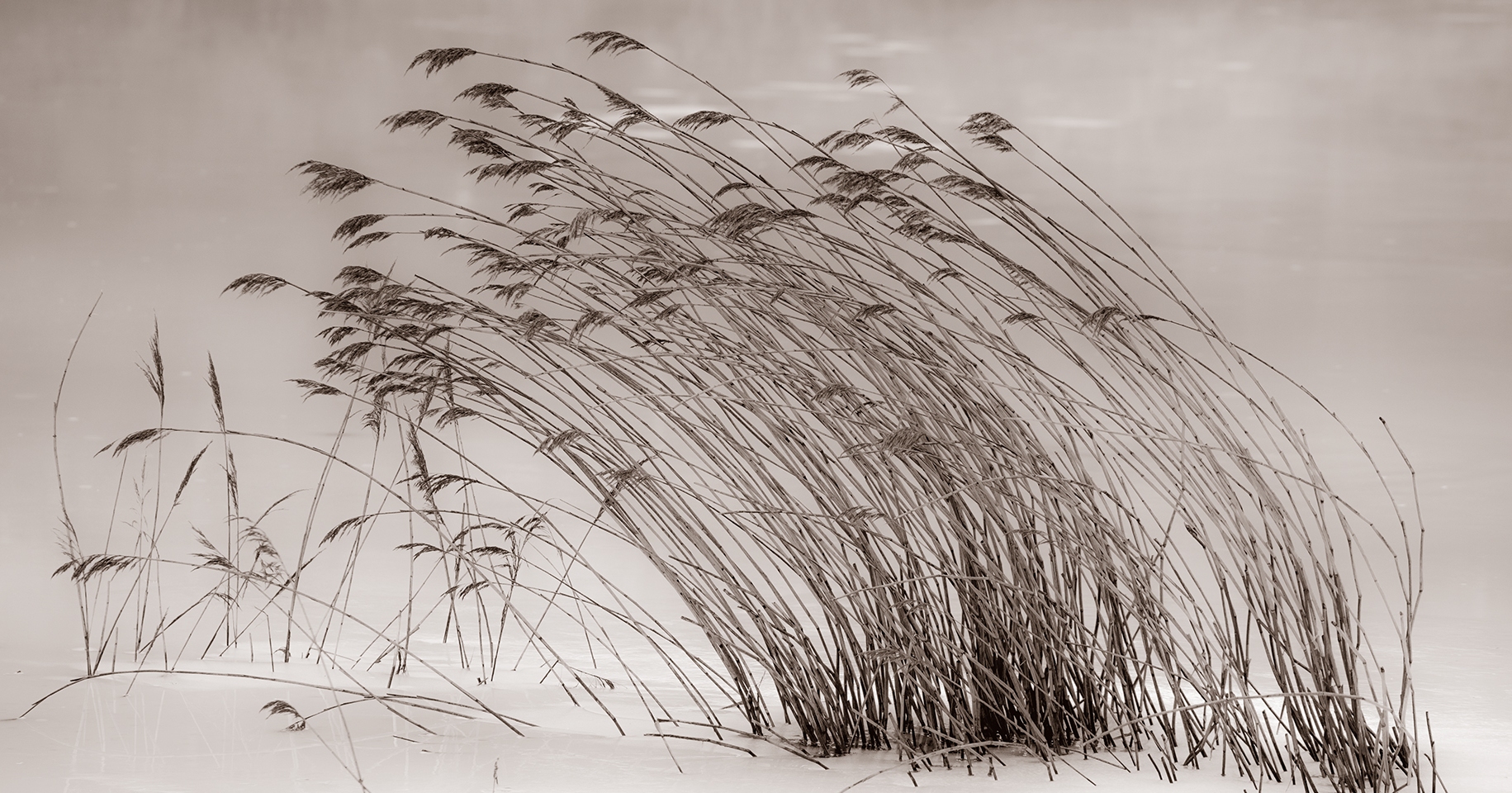 De som bøyer seg&nbsp;<span>(+)</span>