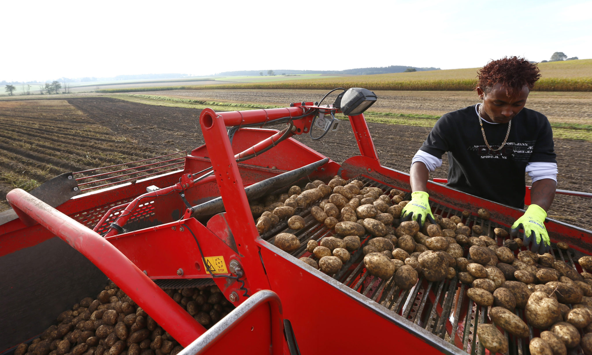 Er Vest-Europa intelligent nok til å redde seg selv?&nbsp;<span>(+)</span>