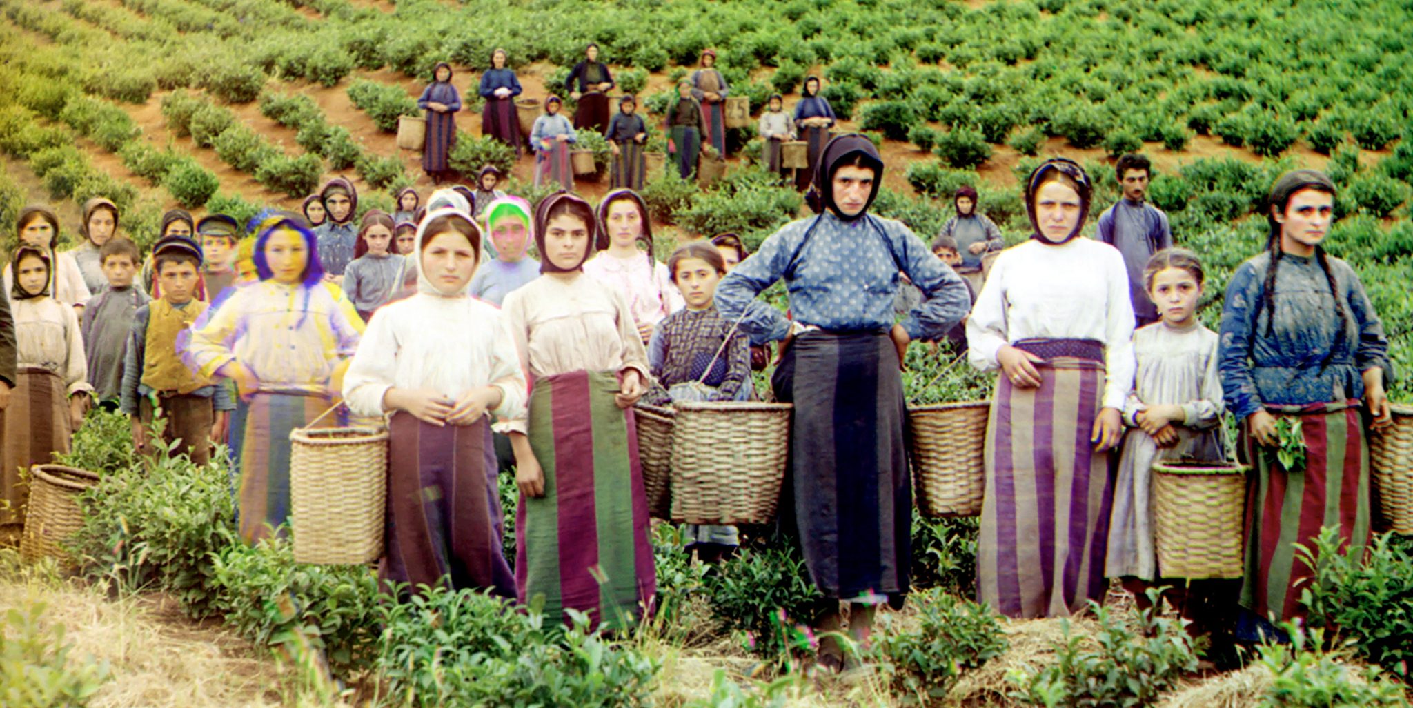 Greske teplukkere, Tsjakvi, Georgia (c. 1905-15)&nbsp;<span>(+)</span>