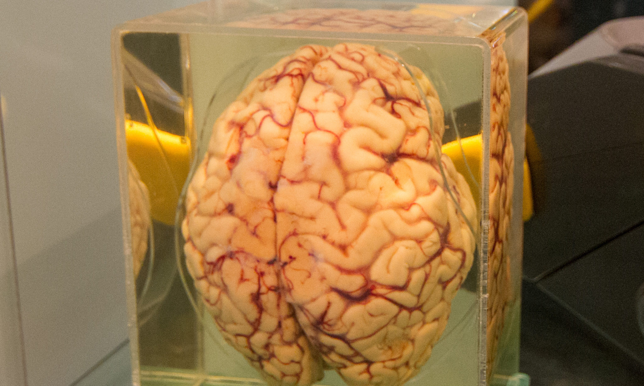 Morgen i Absurdistan&nbsp;<span>(+)</span>