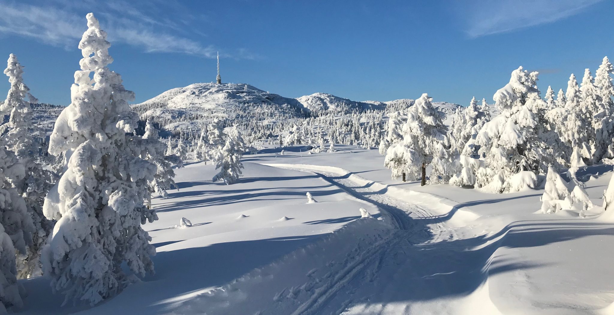 Knutefjell ved Kongsberg, mars 2019&nbsp;<span>(+)</span>