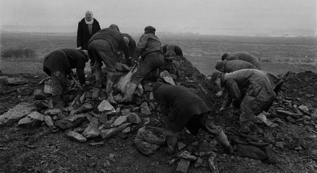 Unemployed men gathering coal, Sunderland (1972)&nbsp;<span>(+)</span>