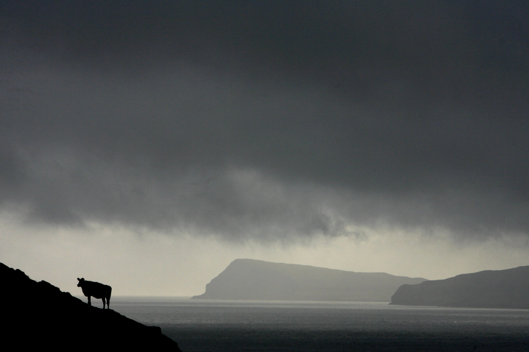 Hvor lenge varer egentlig vaksiner? De overraskende svarene kan hjelpe å gi mennesker økt beskyttelse&nbsp;<span>(+)</span>