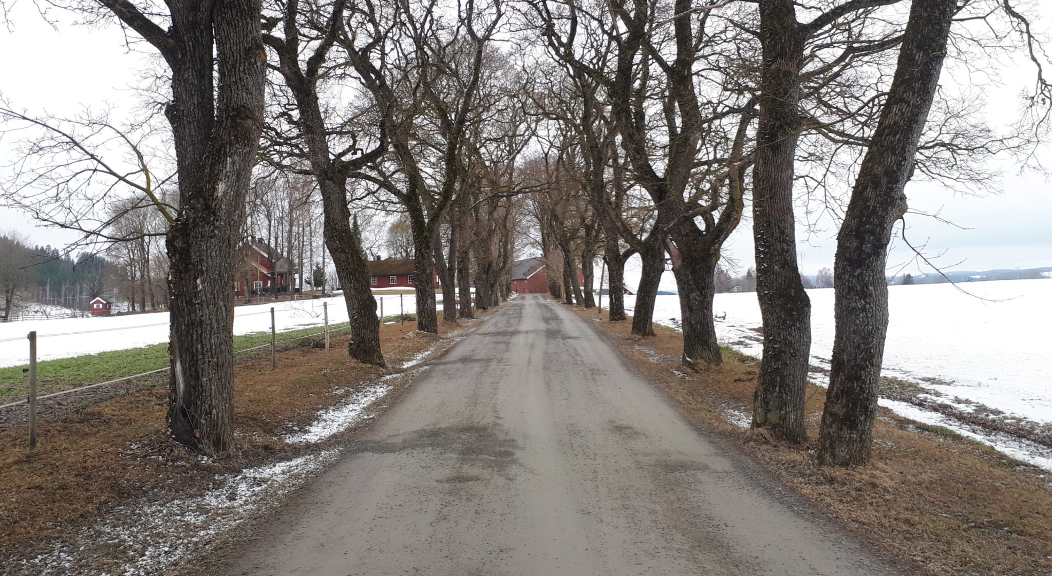 Frøberg gård i Furnes&nbsp;<span>(+)</span>