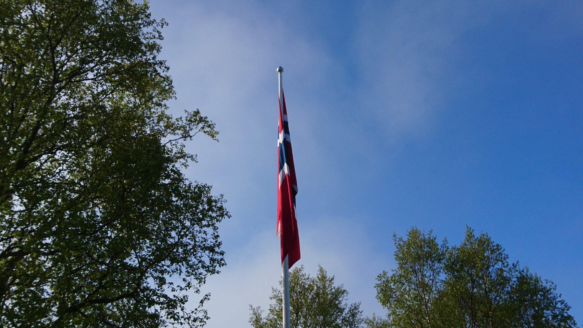 Gratulerer med dagen!&nbsp;<span>(+)</span>