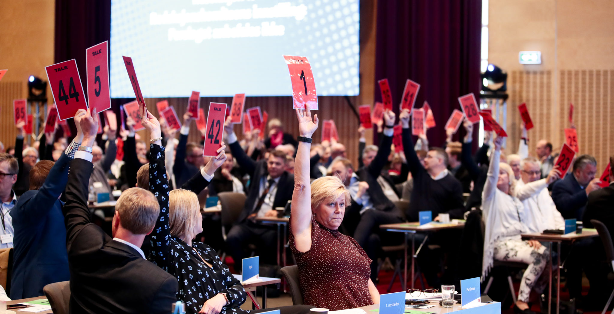 Kamp mot vindmøller på Frp-landsmøtet&nbsp;<span>(+)</span>