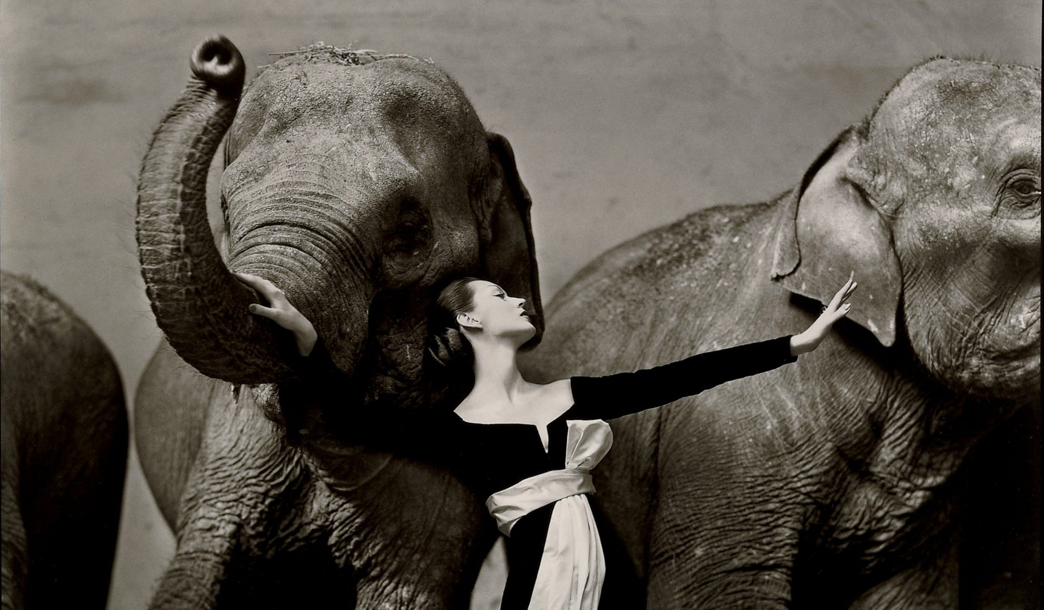 Dovima with Elephants, evening dress by Dior, at Cirque D'Hiver, Paris, August, 1955&nbsp;<span>(+)</span>