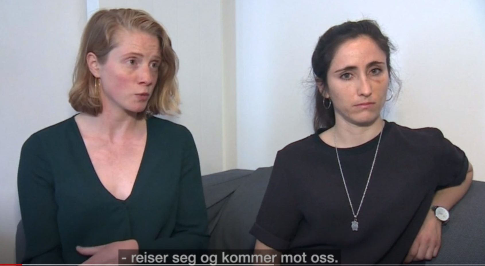 Fem tenåringer pågrepet for vold mot lesbisk par – kvinnene skylder på «høyrepopulisme»&nbsp;<span>(+)</span>