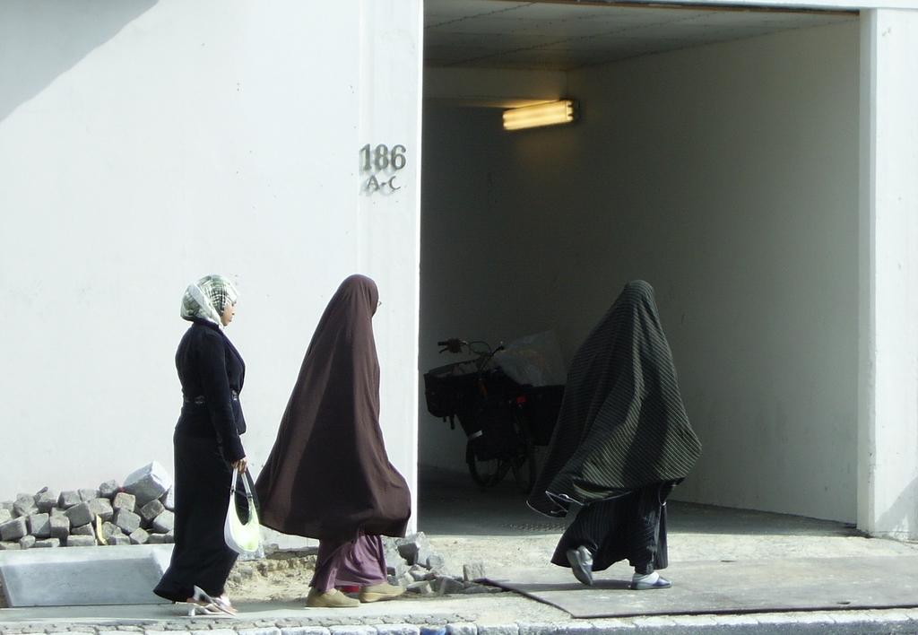 SV gjør seg til redskap for islams politiske kamp&nbsp;<span>(+)</span>