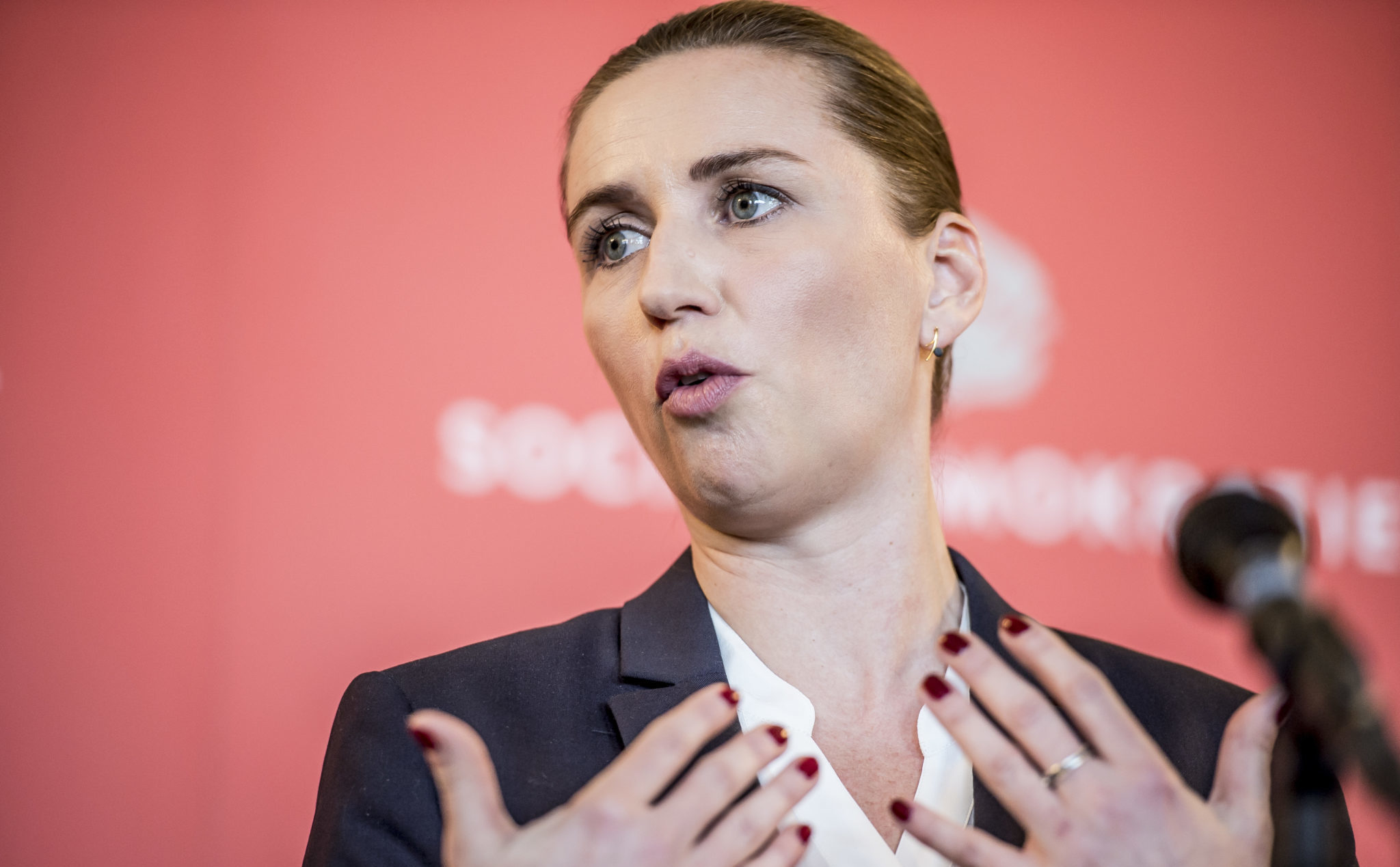 Klima, innvandring og velferd splitter venstresiden i Danmark&nbsp;<span>(+)</span>