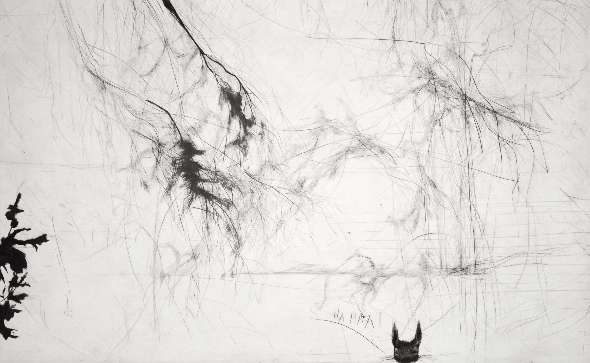 Dyktig, men fortynnet naturgrafikk&nbsp;<span>(+)</span>