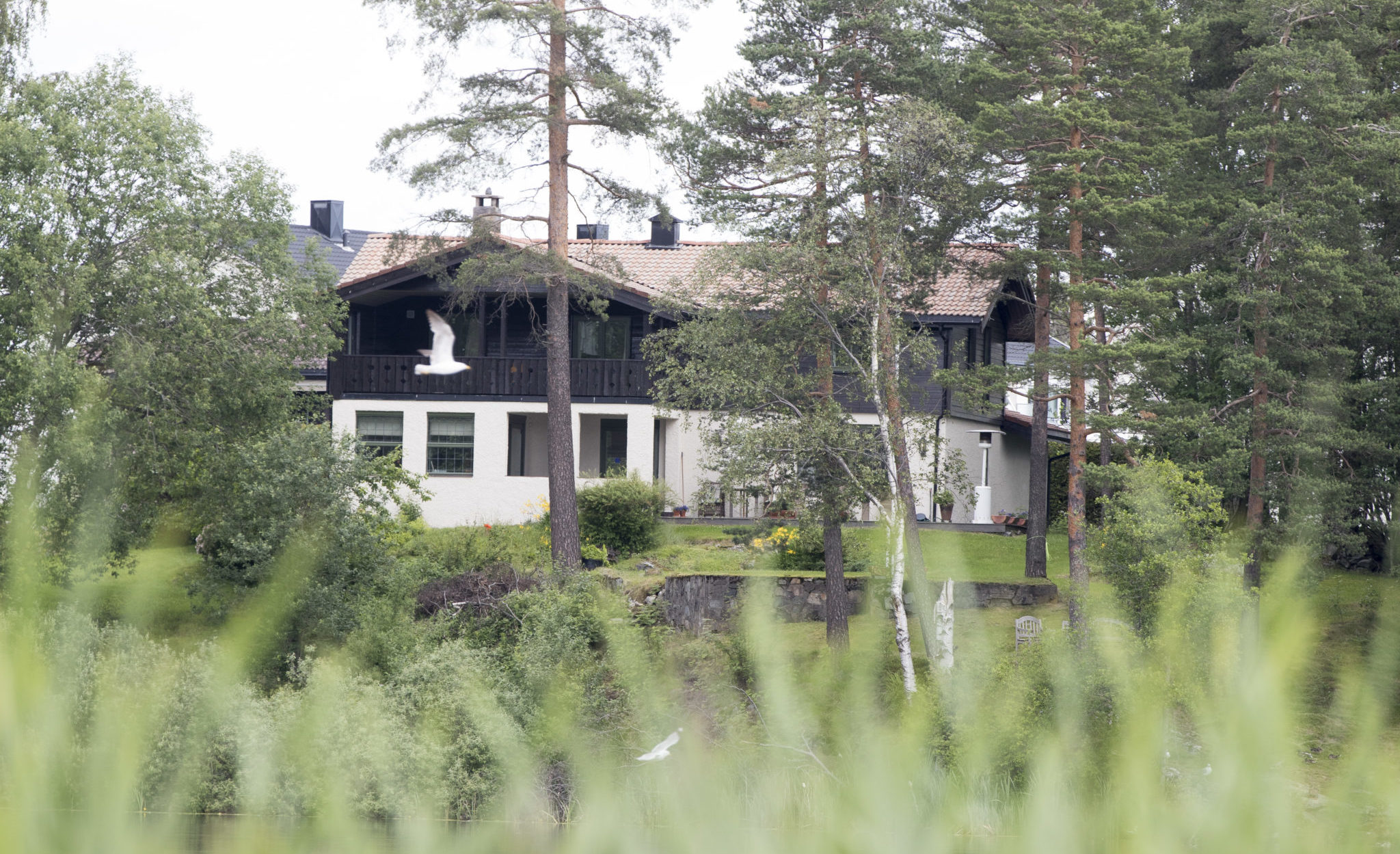 VG: Hagen-familien fikk nytt pengekrav – har betalt penger for livsbevis&nbsp;<span>(+)</span>