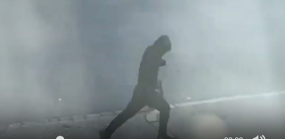 Kvinne som holdt et barn i armene drept i Malmö. Vitne: - Hun ble skutt i hodet, en ren henrettelse&nbsp;<span>(+)</span>