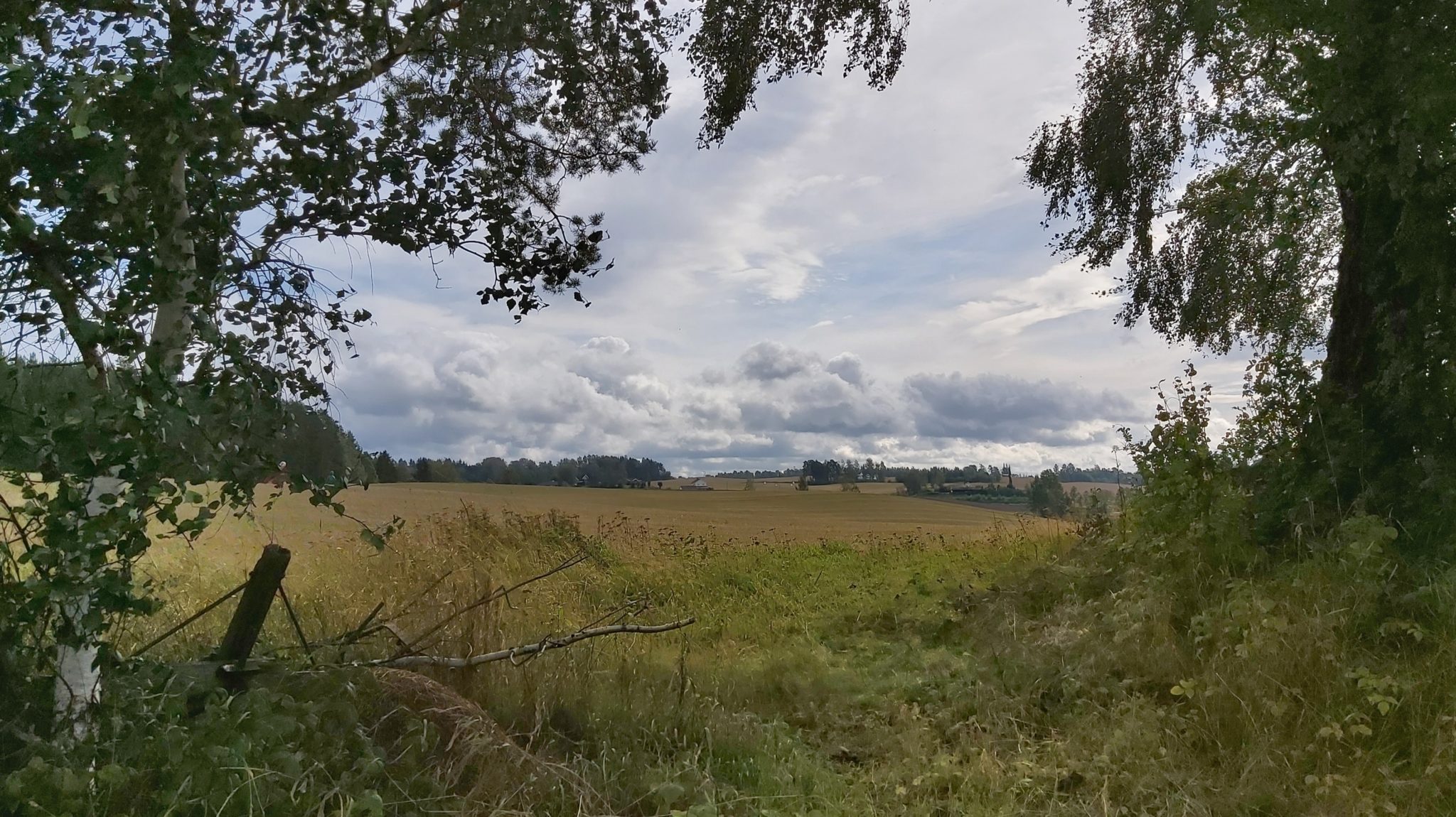 Gyllen snarvei på Ingeberg&nbsp;<span>(+)</span>