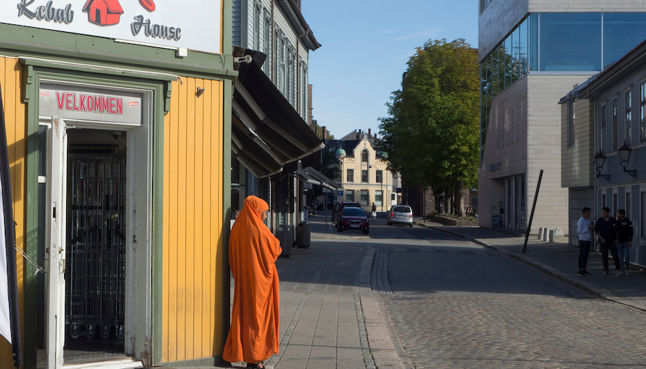 Er innvandringen under kontroll? Nei, den er ikke det&nbsp;<span>(+)</span>