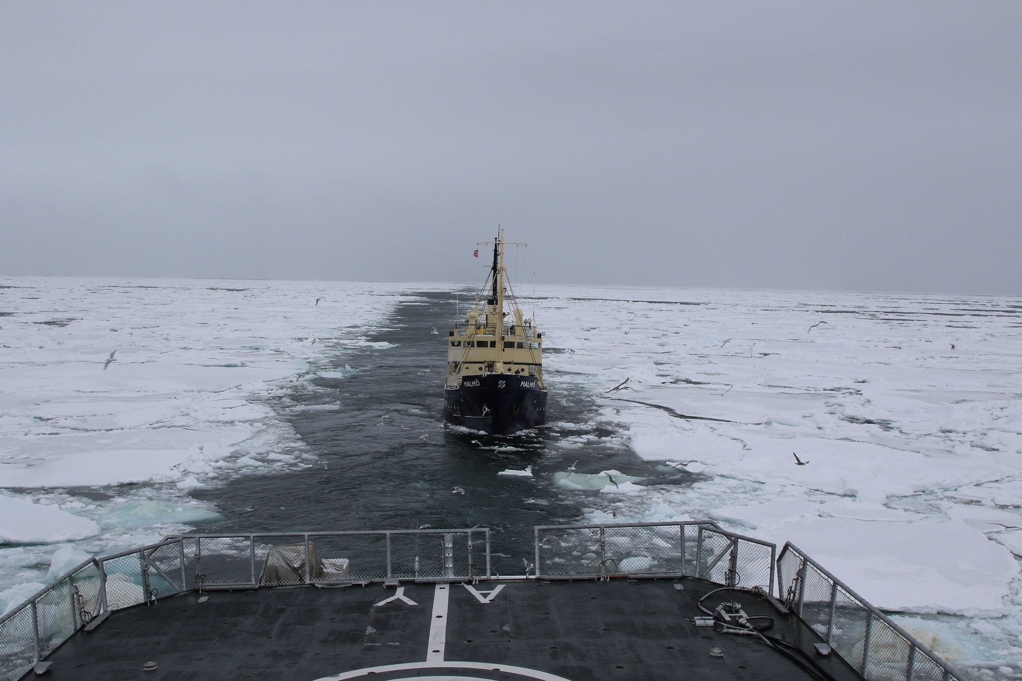 Document presiserer om «Klimatokt Svalbard Rundt».&nbsp;<span>(+)</span>