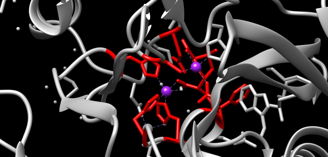 Antibiotikaresistent bakterie i Toscana: Minst 31 døde&nbsp;<span>(+)</span>