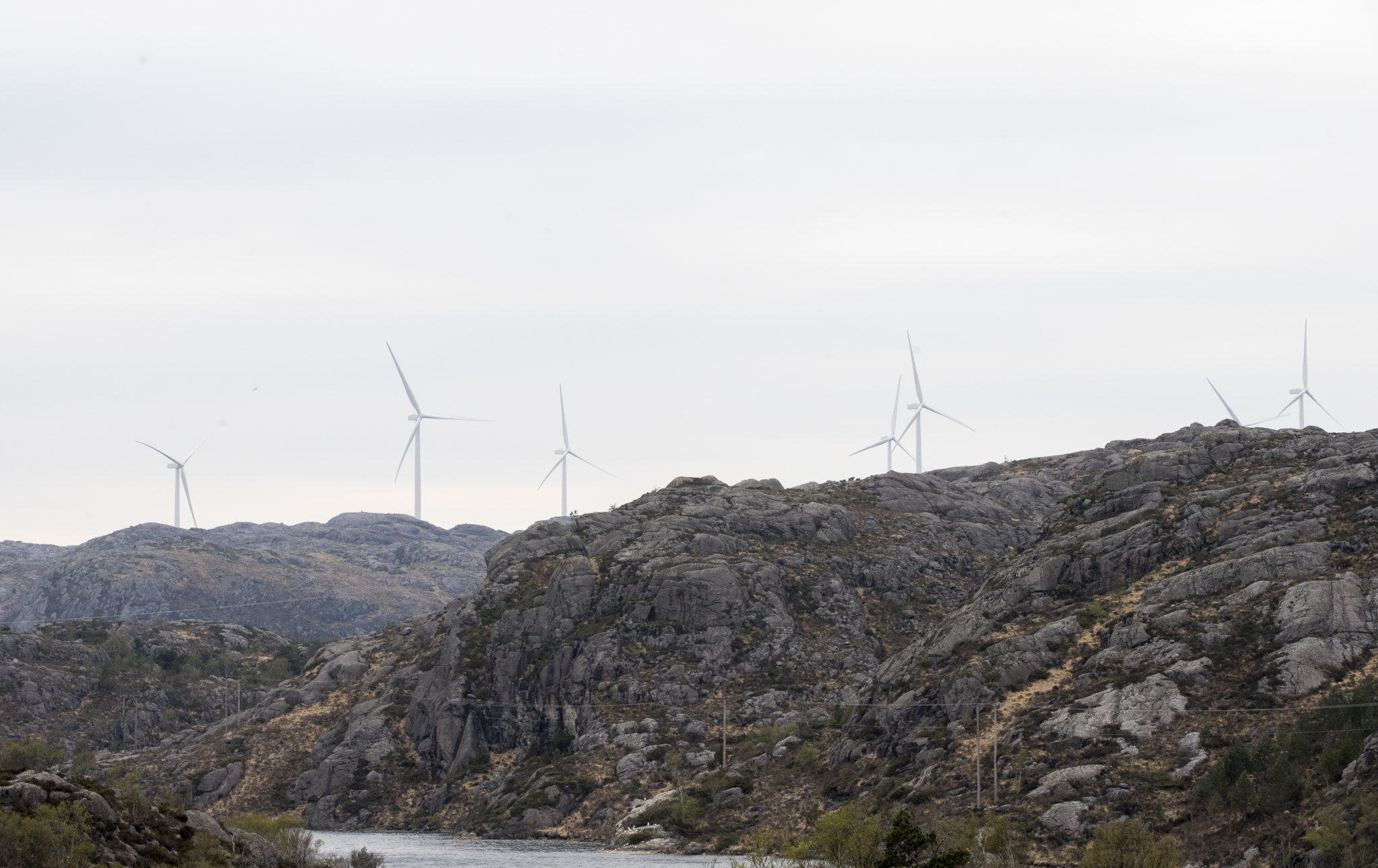 Massiv motstand mot vindkraft i Norge&nbsp;<span>(+)</span>