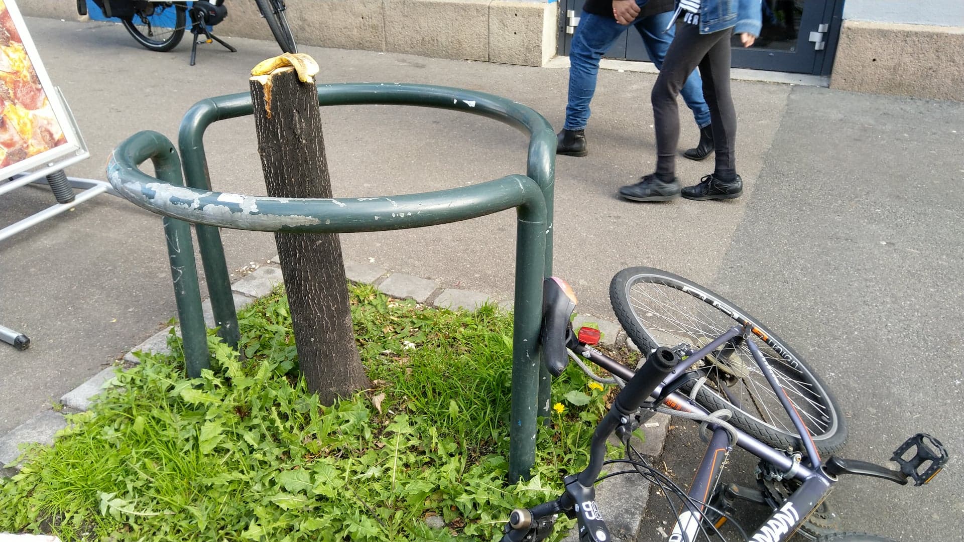 MDGs nye, «grønne» Oslo: Trær kappes ned for fote&nbsp;<span>(+)</span>