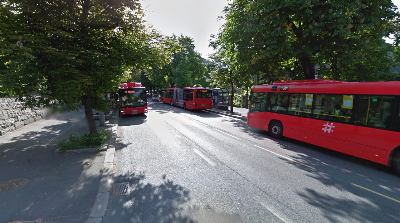 Bygdøy allé: Bussfelt blir til sykkelsti - skaper mer kø og risikerer kastanjetrærne&nbsp;<span>(+)</span>