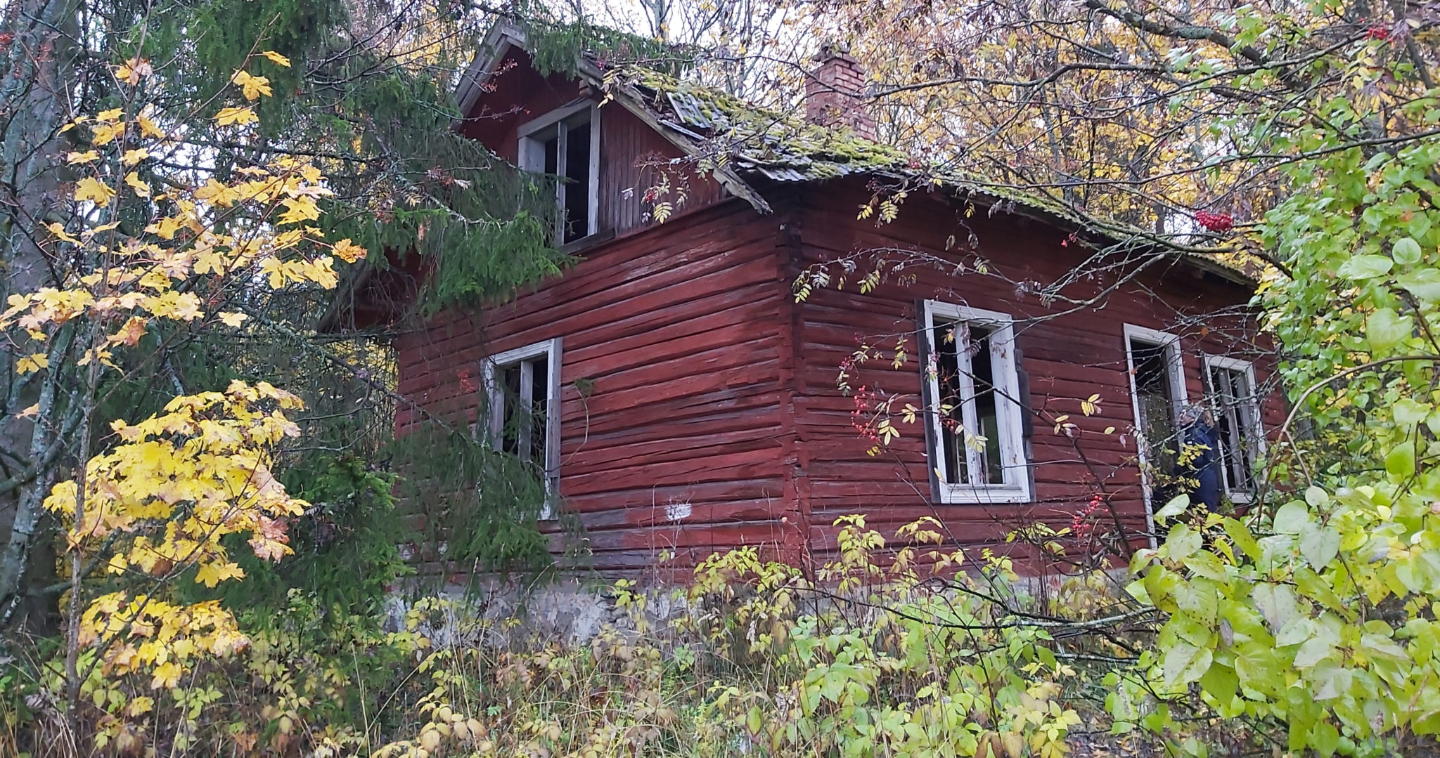 Glemte minner&nbsp;<span>(+)</span>