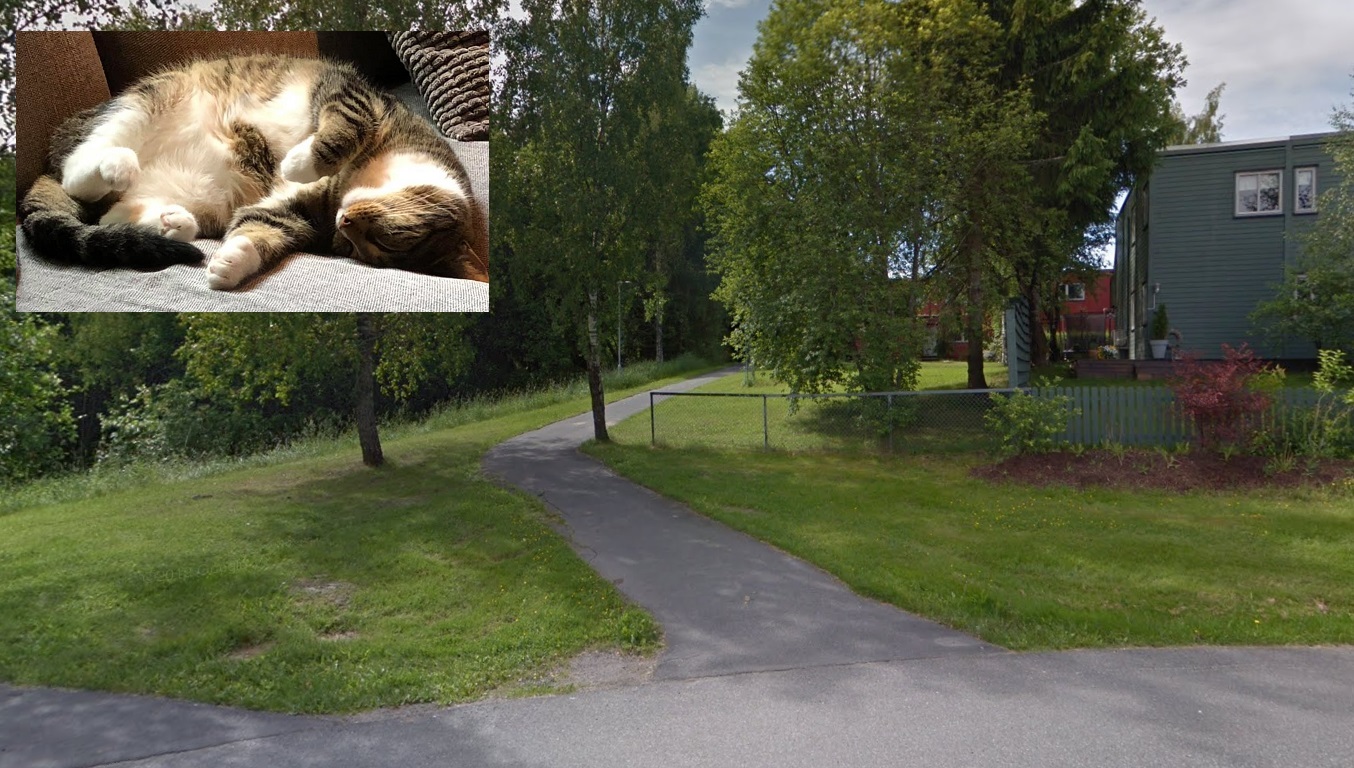 Katten Trixie halshugd like ved hjemmet&nbsp;<span>(+)</span>