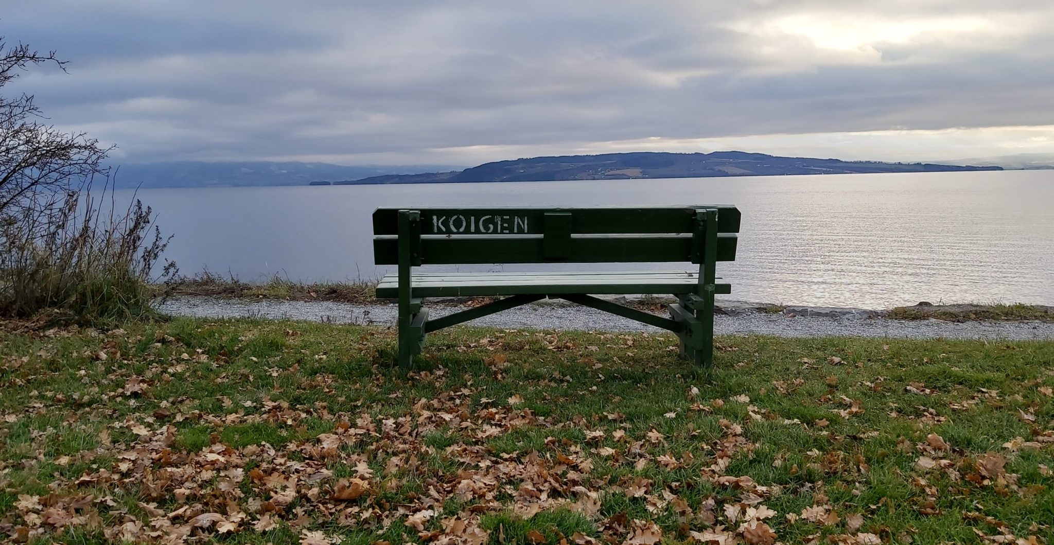 Koigen, Hamar&nbsp;<span>(+)</span>