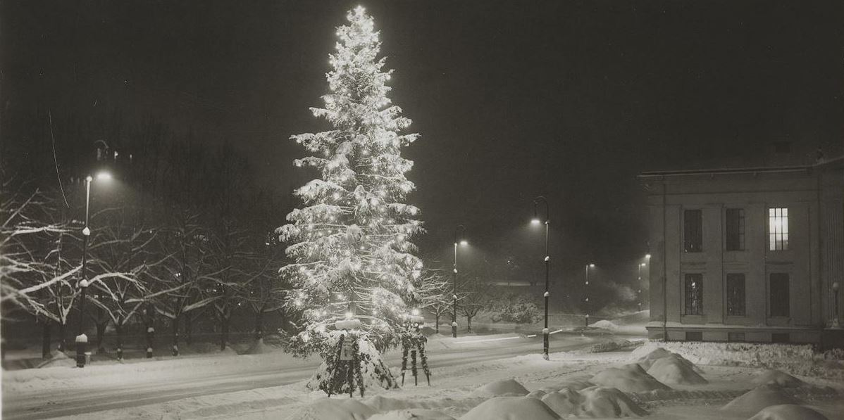 Et hundreårsjubileum 1919-2019&nbsp;<span>(+)</span>