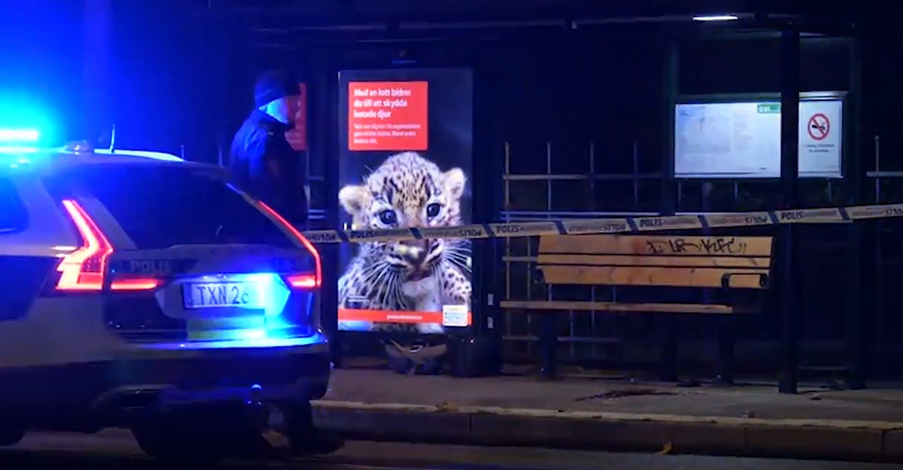 Ung kvinne kjemper for livet – slått i hodet med planke mens hun ventet på bussen&nbsp;<span>(+)</span>