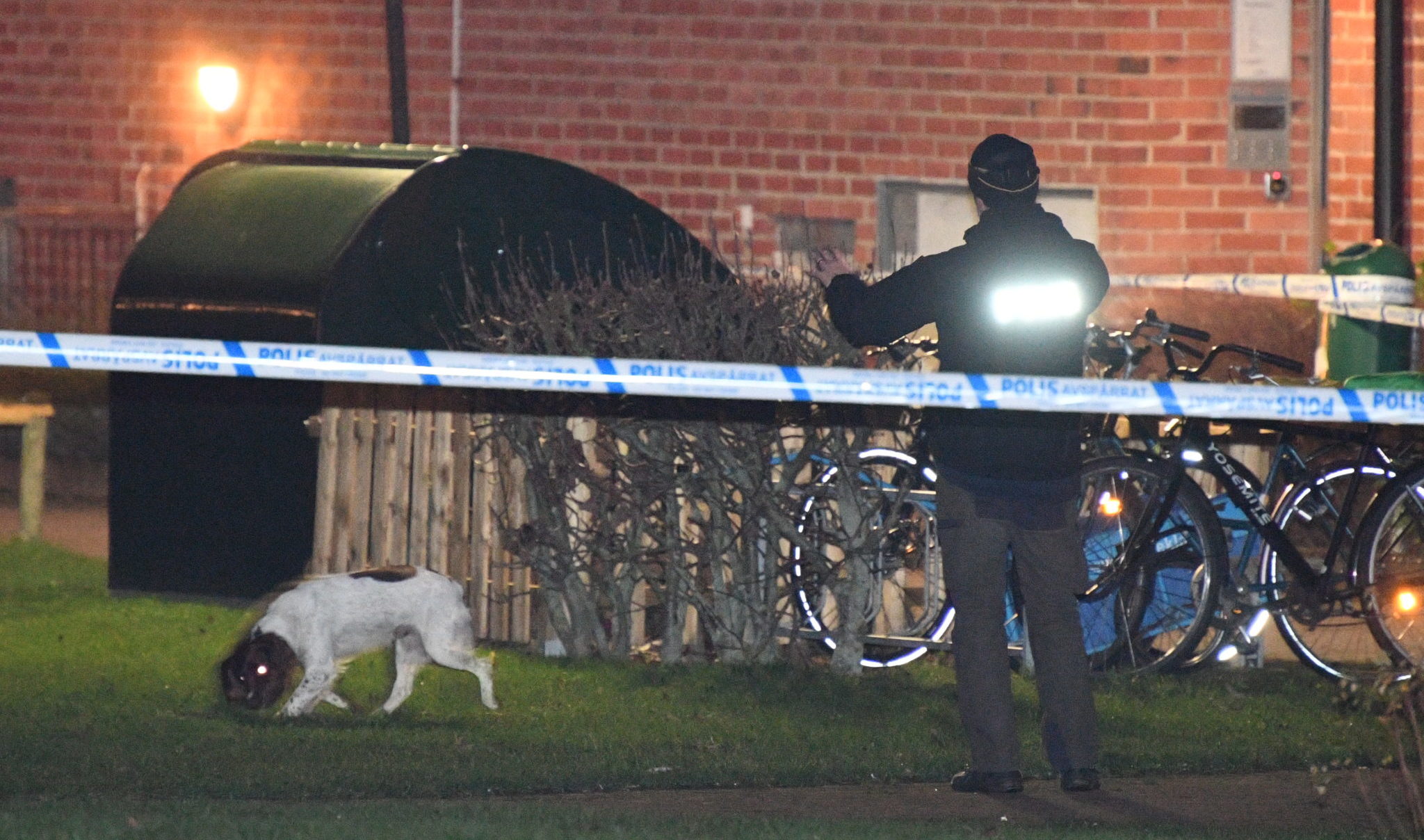 Mann i 20-årene skutt og drept i Malmö&nbsp;<span>(+)</span>
