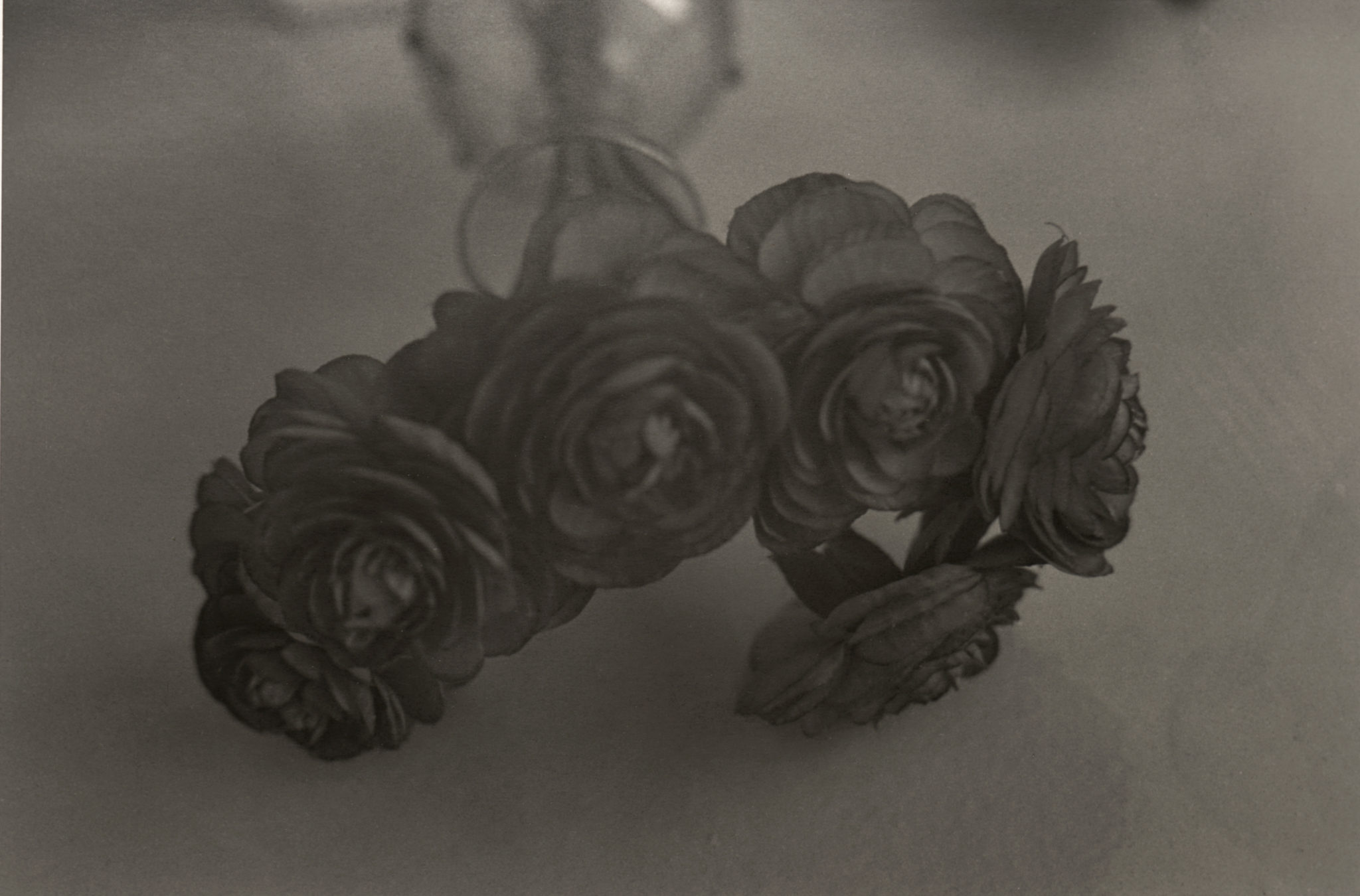 Uten titel (1993)&nbsp;<span>(+)</span>