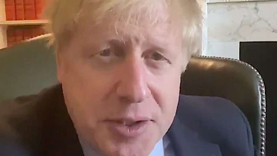 Boris har testet positivt for koronaviruset&nbsp;<span>(+)</span>