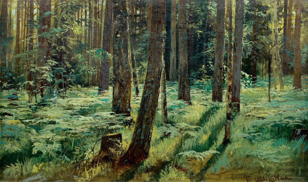 Bregner i skogen, Sivjerskaja (1883)&nbsp;<span>(+)</span>