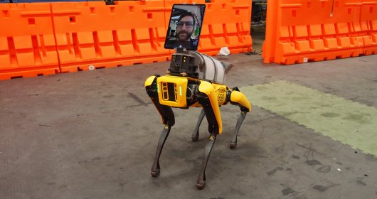 Korona gir påskudd til økt overvåking: Robothund sjekker befolkningen&nbsp;<span>(+)</span>