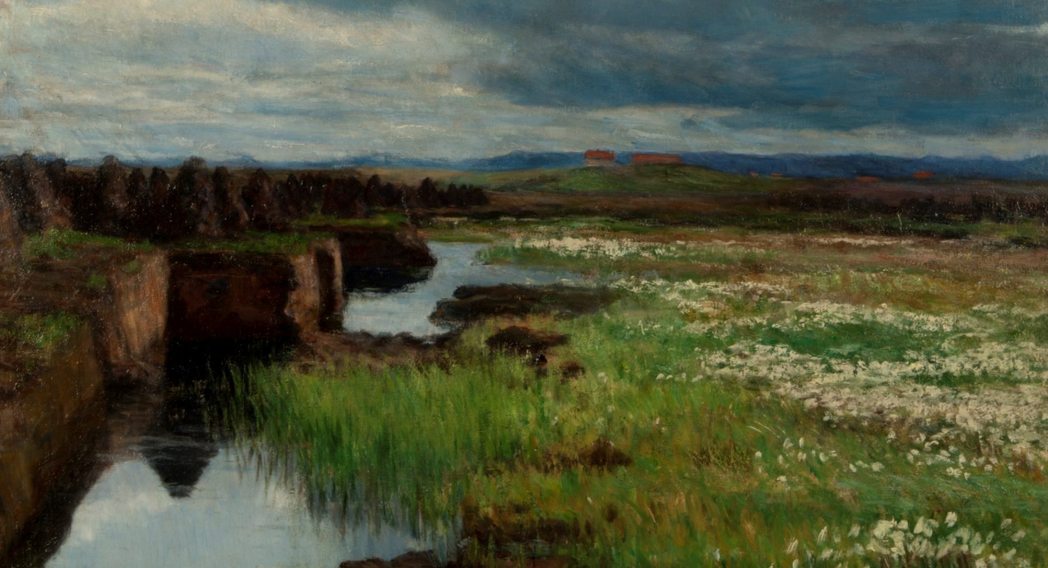 Torvmyr (1895)&nbsp;<span>(+)</span>