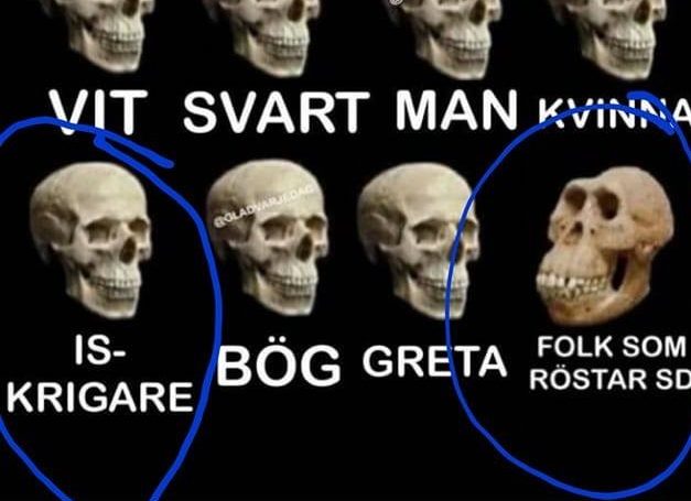 IS-kvinnene i det svenske samfunnet&nbsp;<span>(+)</span>