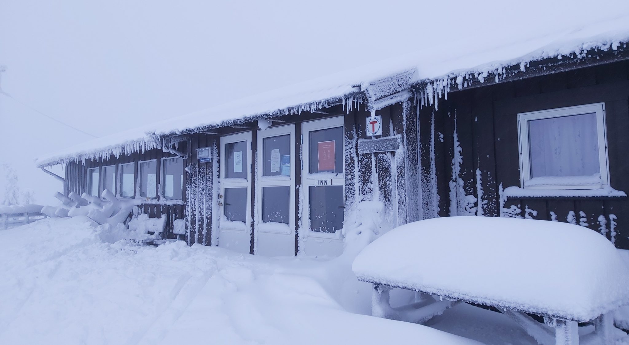 Apropos grønn vinter&nbsp;<span>(+)</span>
